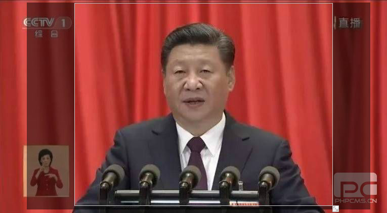 習近平：生態(tài)文明建設成效顯著